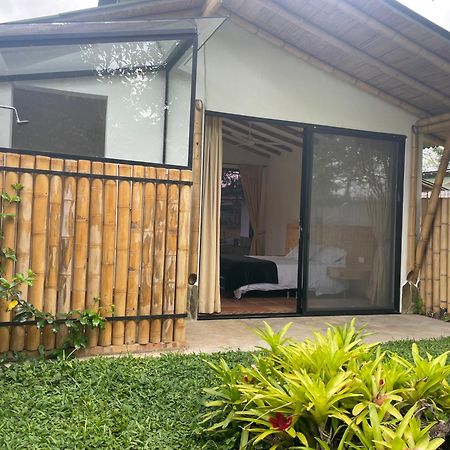 Ecohotel Alma Calarcá Kültér fotó
