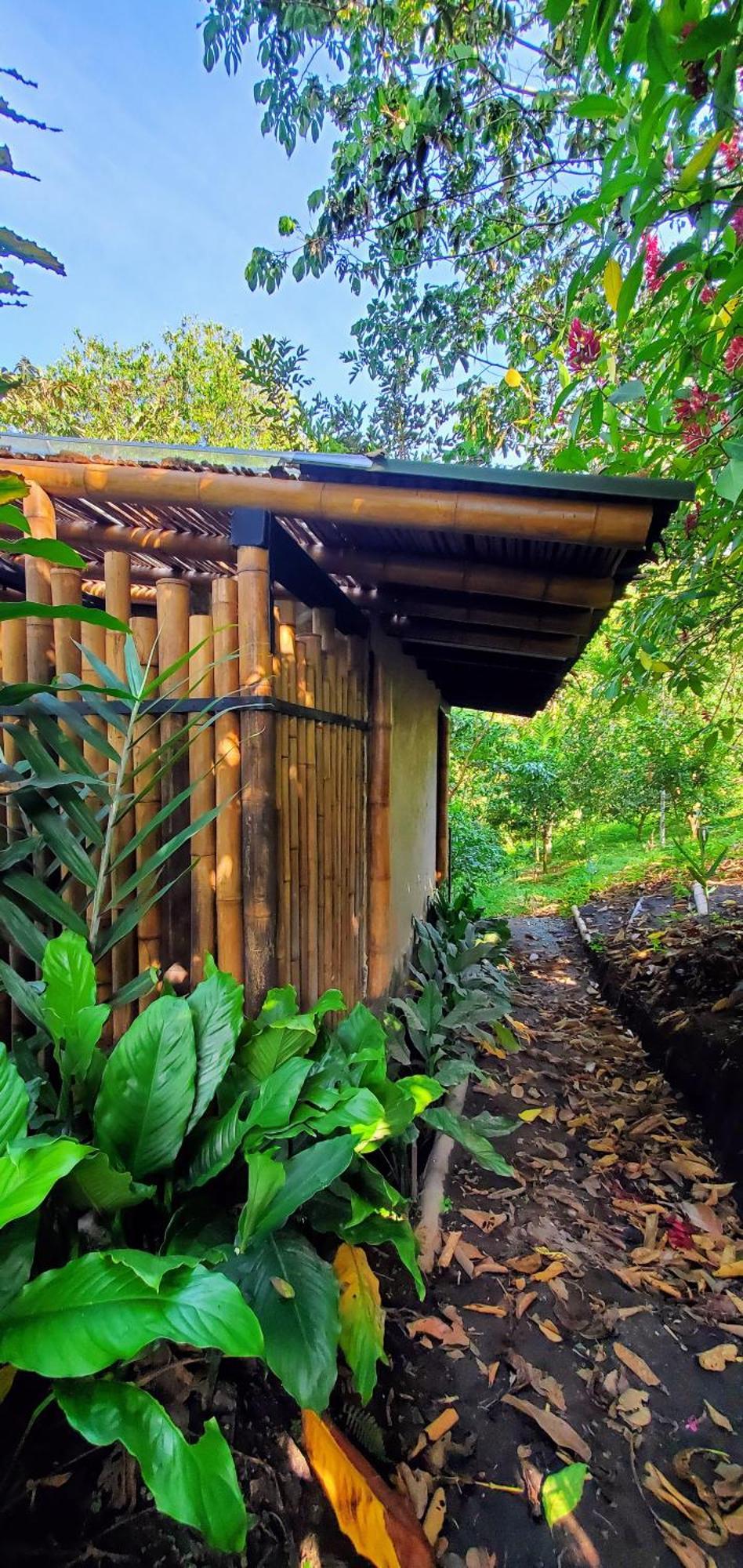 Ecohotel Alma Calarcá Kültér fotó
