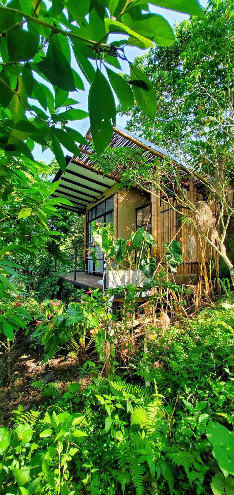 Ecohotel Alma Calarcá Kültér fotó