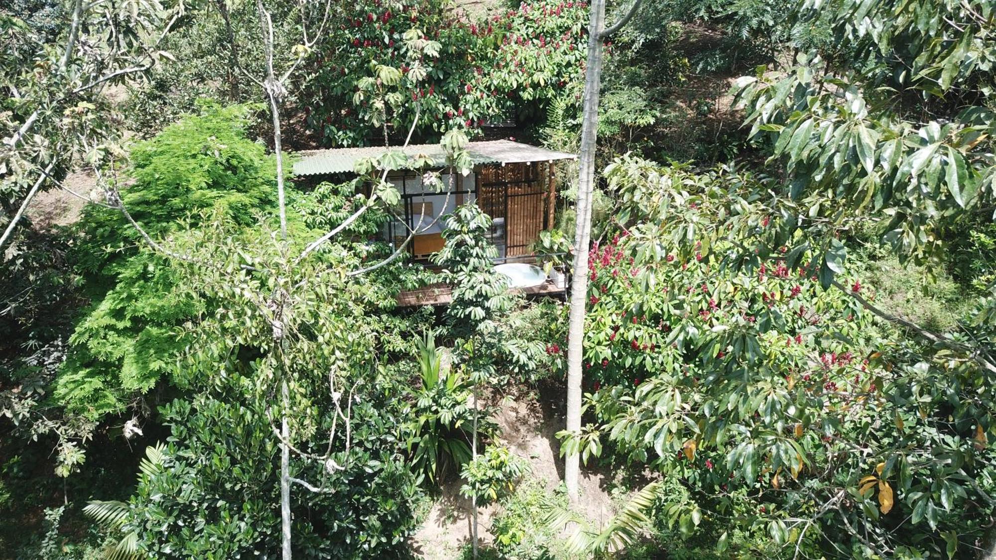 Ecohotel Alma Calarcá Kültér fotó