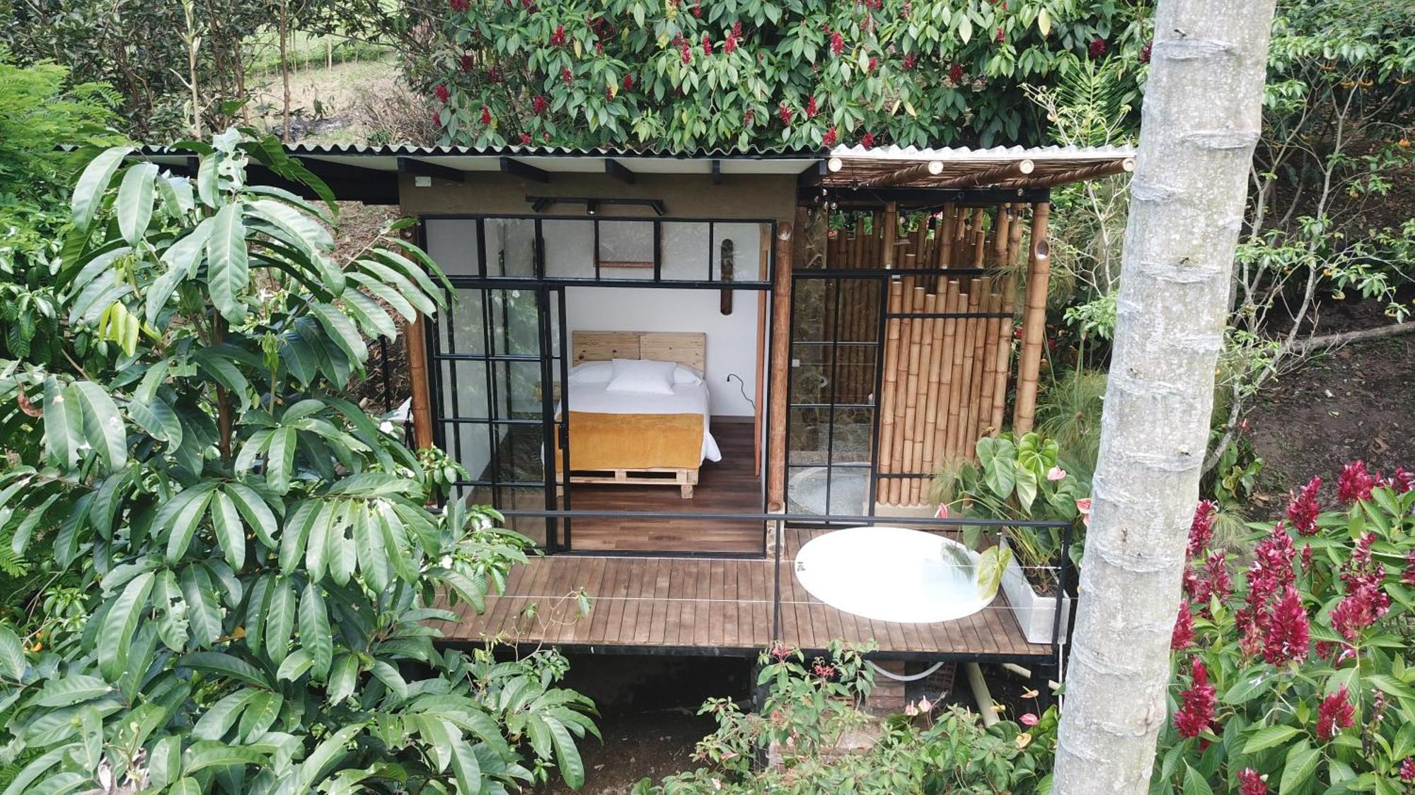 Ecohotel Alma Calarcá Kültér fotó