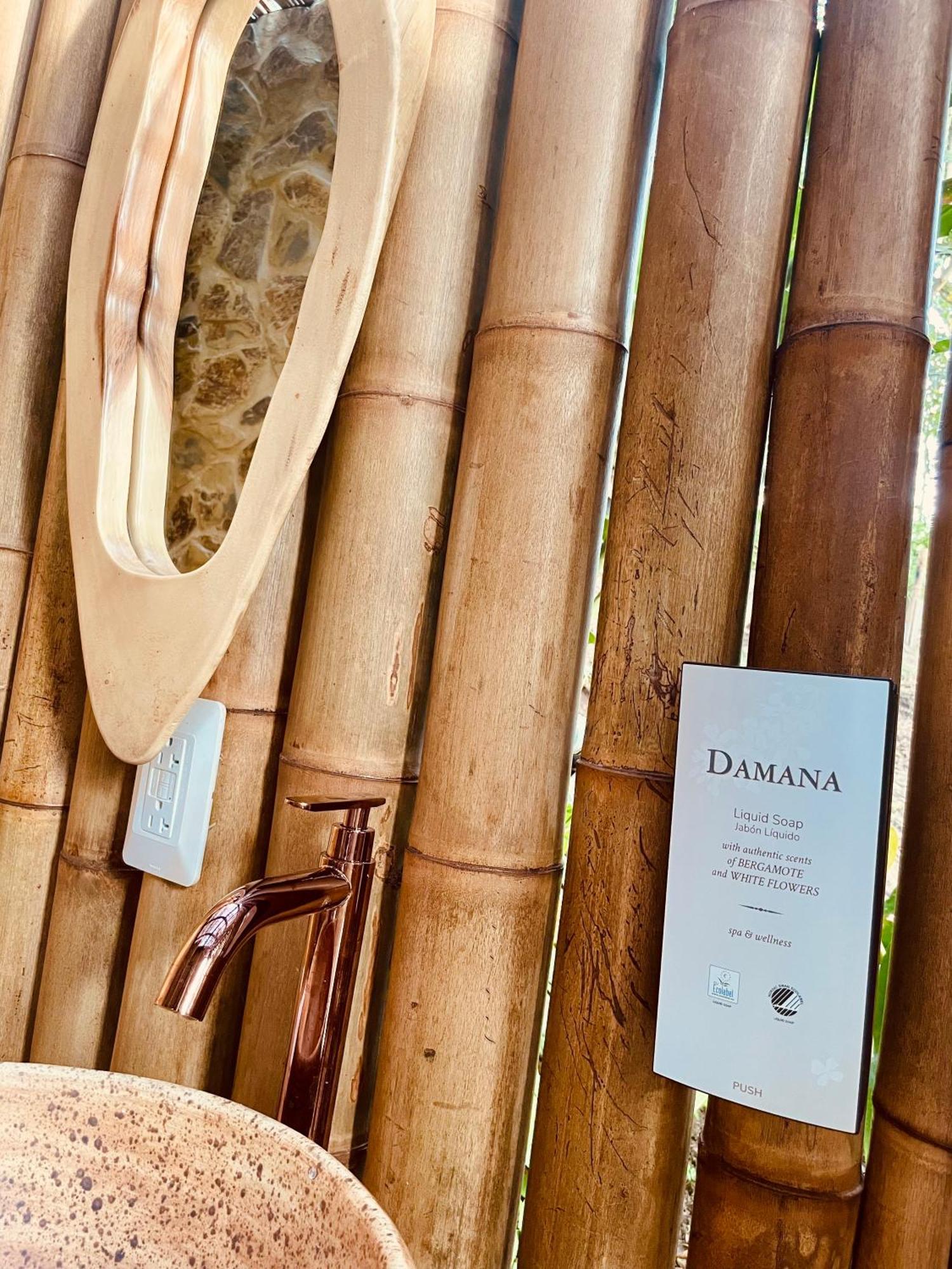 Ecohotel Alma Calarcá Kültér fotó