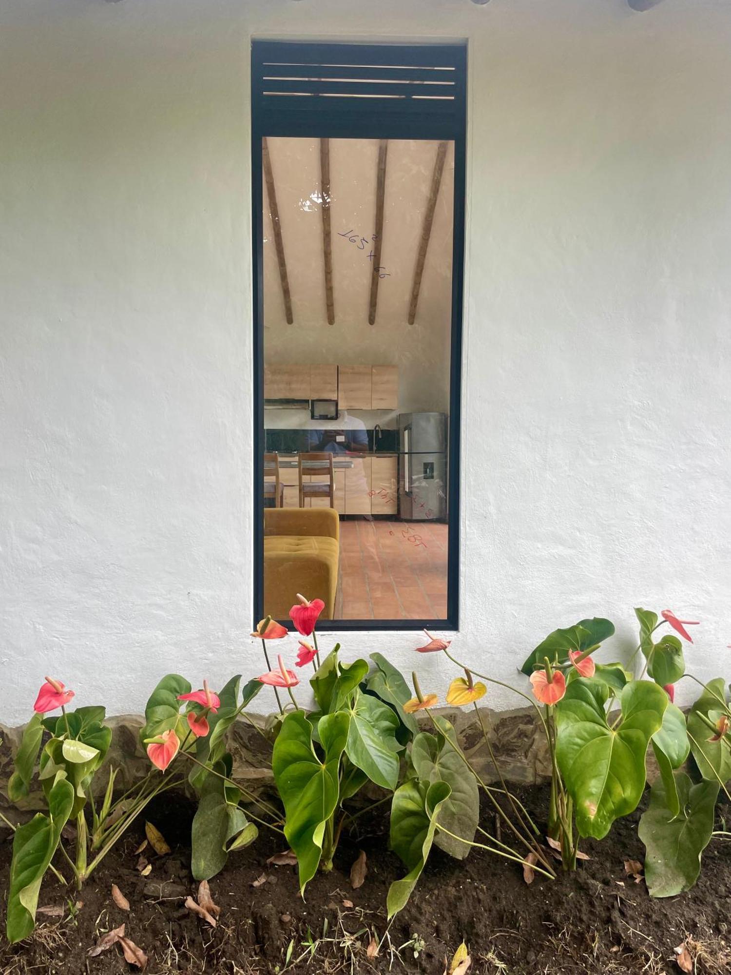 Ecohotel Alma Calarcá Kültér fotó